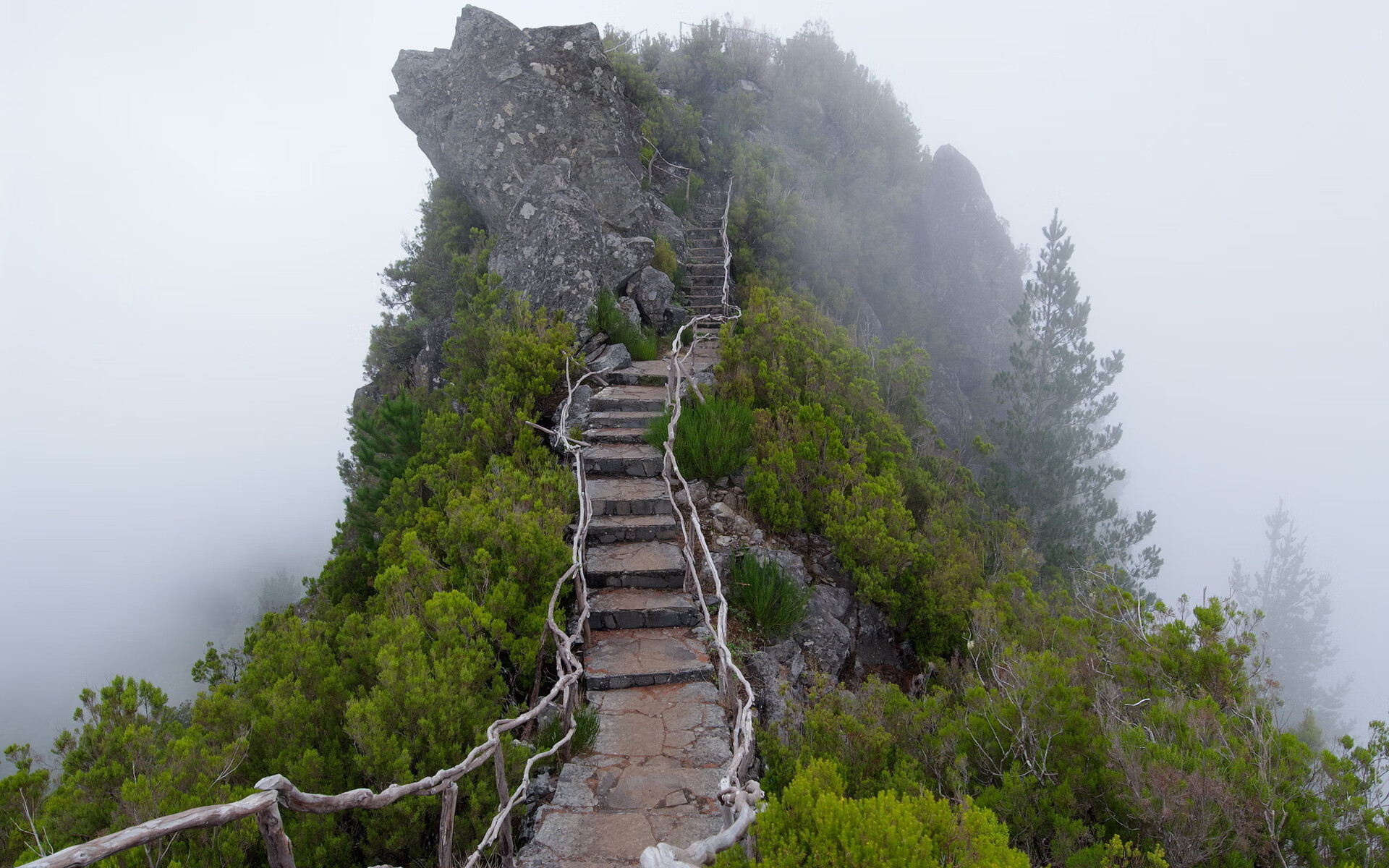 世界登山青年导师生态修复项目第47批结项结果发布，国际登山比赛